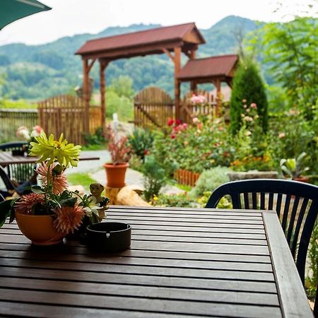 Pension Agnes Vişeu de Sus エクステリア 写真